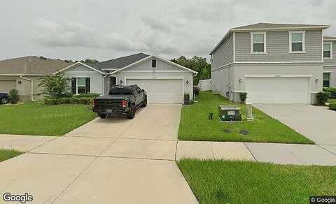 Centipede, CLERMONT, FL 34714