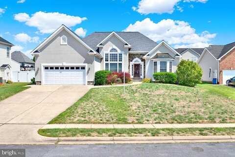Darby, WINCHESTER, VA 22602