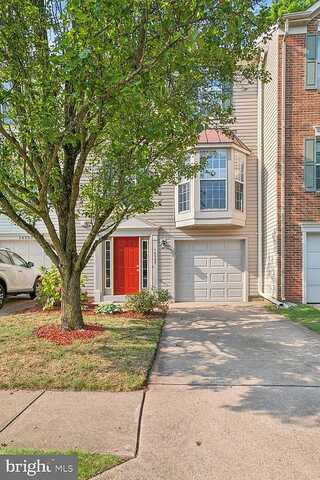 Papilion, CENTREVILLE, VA 20121