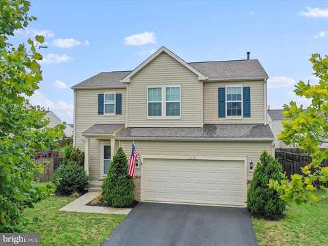 Nightbird, STEPHENS CITY, VA 22655