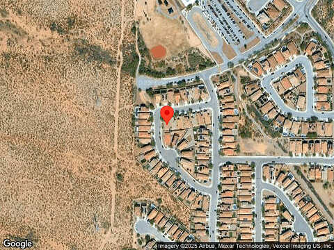 Desert Fauna, TUCSON, AZ 85747
