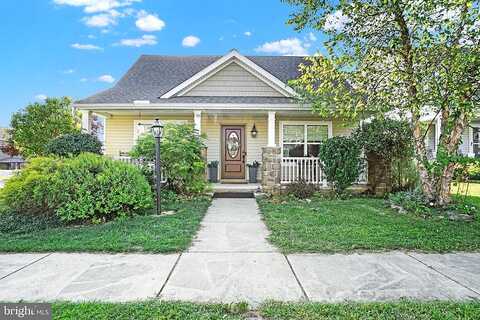 Honeysuckle, MARIETTA, PA 17547