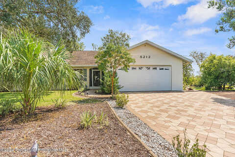 Abagail, SPRING HILL, FL 34608