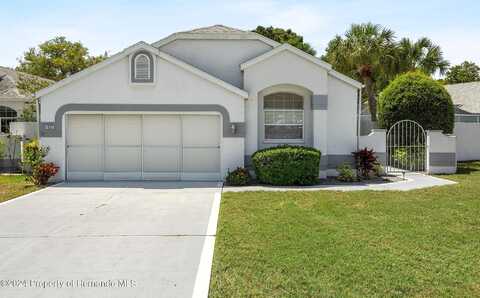 Via De Rosa, SPRING HILL, FL 34608