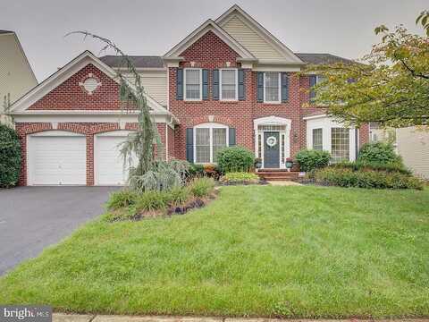Paper Birch, LORTON, VA 22079