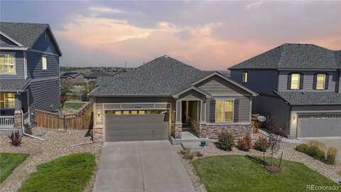 Bandit, CASTLE ROCK, CO 80108