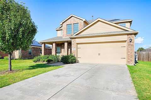 Pampa Grass, PRINCETON, TX 75407