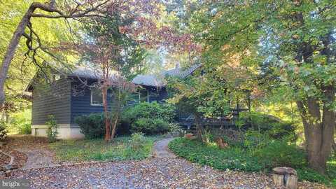 Bluebird, FRONT ROYAL, VA 22630