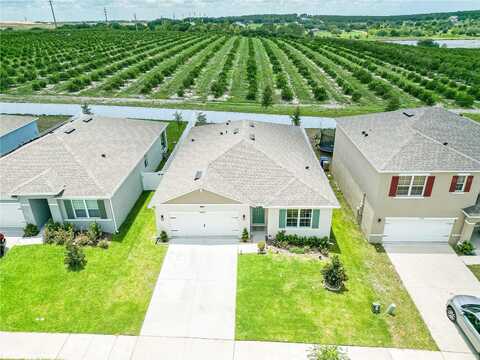 Black Walnut, CLERMONT, FL 34715
