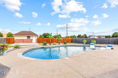 Bunny, ABILENE, TX 79602