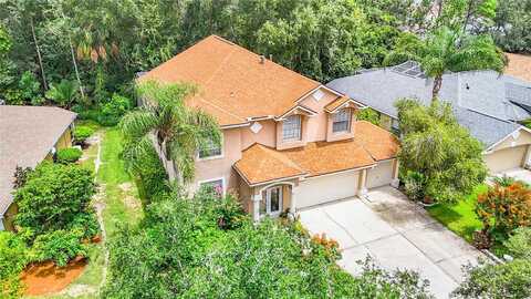 Southampton, TAMPA, FL 33647