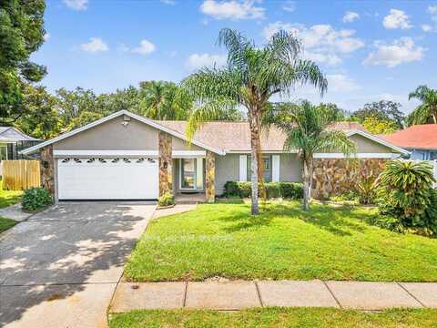 Hammock, PALM HARBOR, FL 34683