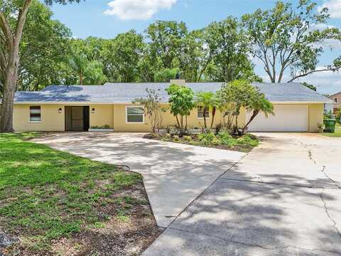 Canal, LAND O LAKES, FL 34639