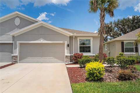 Mango Fade, SAN ANTONIO, FL 33576