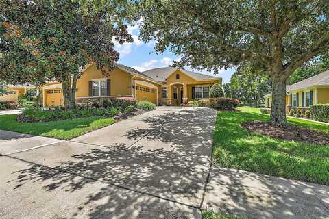 Lipizzan, MOUNT DORA, FL 32757