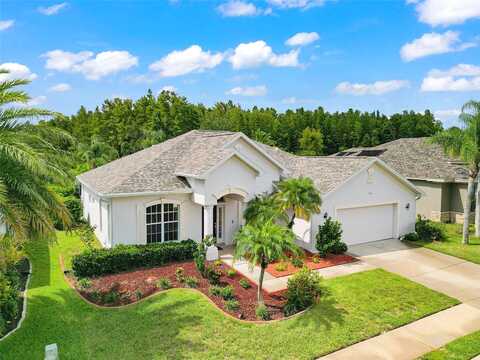 Blue Beech, TRINITY, FL 34655