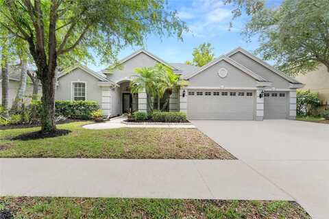 Autumn Woods, TAMPA, FL 33647
