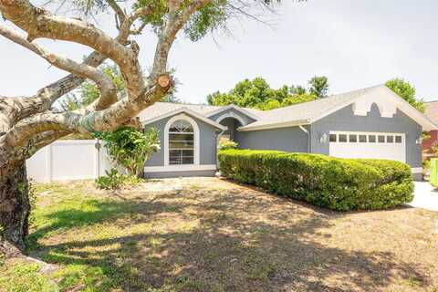 White Pine, HUDSON, FL 34667