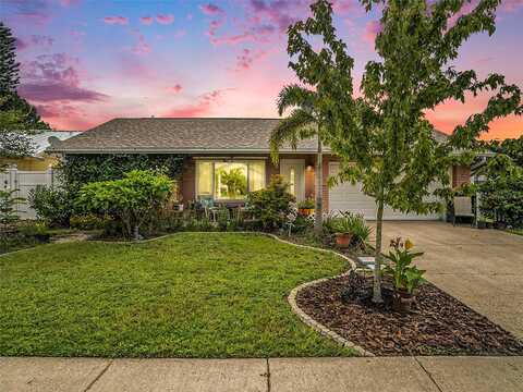 Sue, CLEARWATER, FL 33759