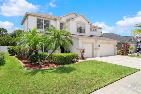 Nikki, ODESSA, FL 33556