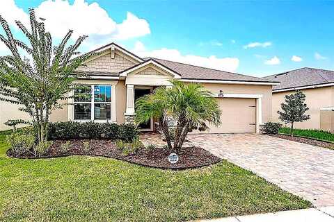 Texas Sage, RIVERVIEW, FL 33579