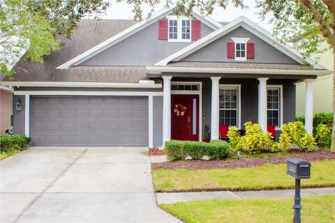 Tiger Lilly, TAMPA, FL 33625