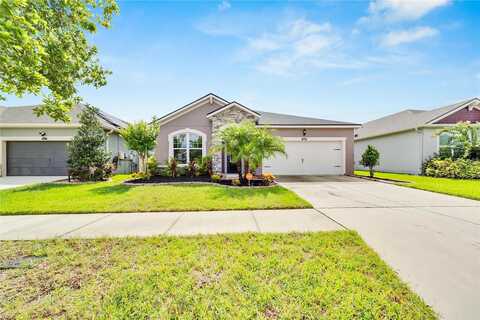 Satin Lily, RIVERVIEW, FL 33579