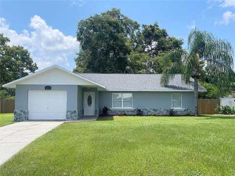 96Th, BELLEVIEW, FL 34420
