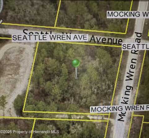 0 Seattle Wren Avenue, Weeki Wachee, FL 34614