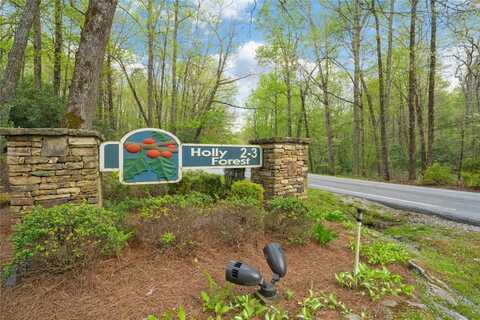 44 Holly Road, Sapphire, NC 28774