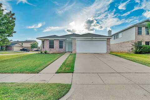 Bronze River, FORT WORTH, TX 76179