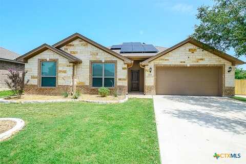 Braford, BELTON, TX 76513