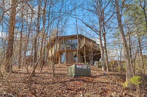 Treetopper Lane, Jasper, GA 30143
