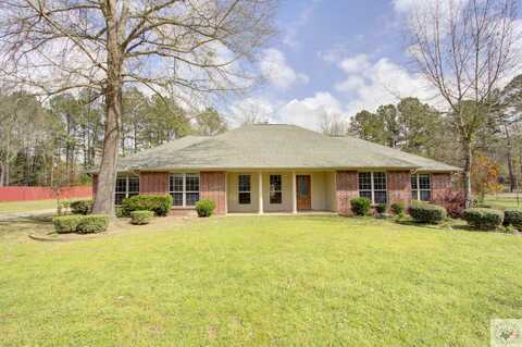 County Road 4132, ATLANTA, TX 75551