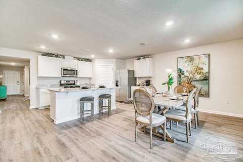 Blacktail, PENSACOLA, FL 32526