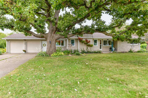Alder, DELAVAN, WI 53115