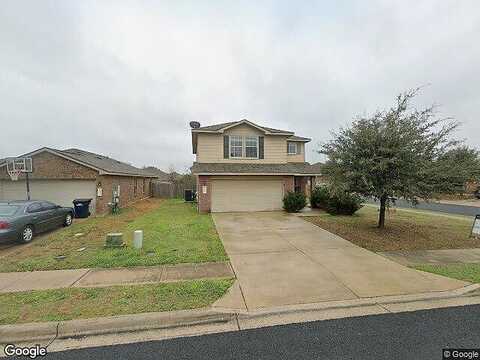 Magpie Goose, LEANDER, TX 78641
