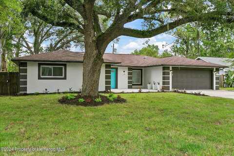 Concord Drive, Crystal River, FL 34428
