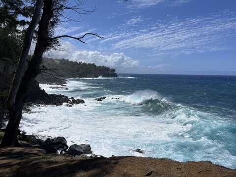 45-5060 NANAINA KAI ROAD, Honokaa, HI 96727