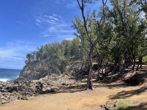 45-5060 NANAINA KAI ROAD, Honokaa, HI 96727