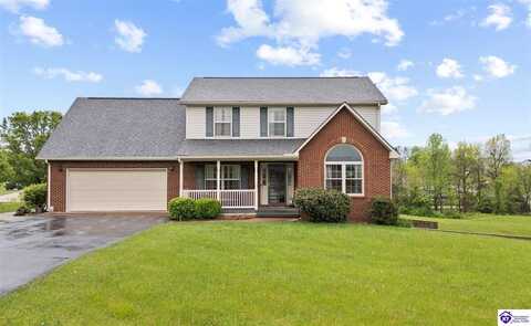 287 Genrose Drive, Rineyville, KY 40162