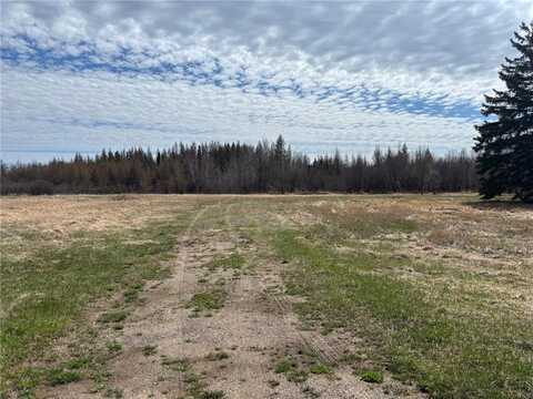 10686 Highway 37, Cherry Twp, MN 55746