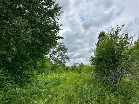 Lot 11 Block 1 Opah's Landing, Aitkin, MN 56431