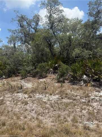 330 Matthews Street NW, Lake Placid, FL 33852