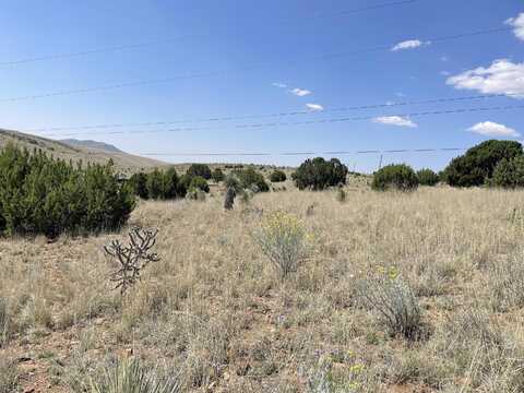 Kirkland, SILVER CITY, NM 88061