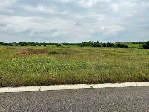 Lr Williams, JARRELL, TX 76537
