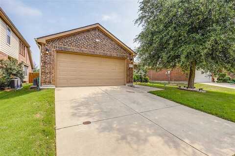 Lake Worth, LITTLE ELM, TX 75068