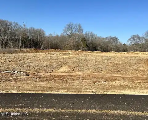 Pebble View Cove, Byhalia, MS 38611