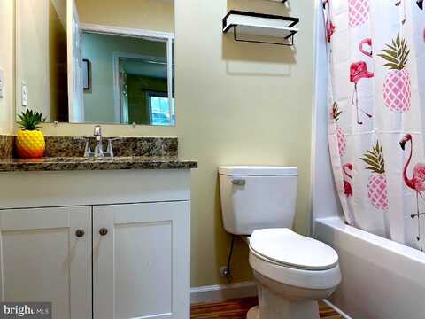 Birch, CULPEPER, VA 22701