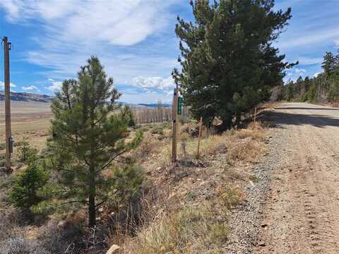 3088 REDHILL ROAD, Fairplay, CO 80440